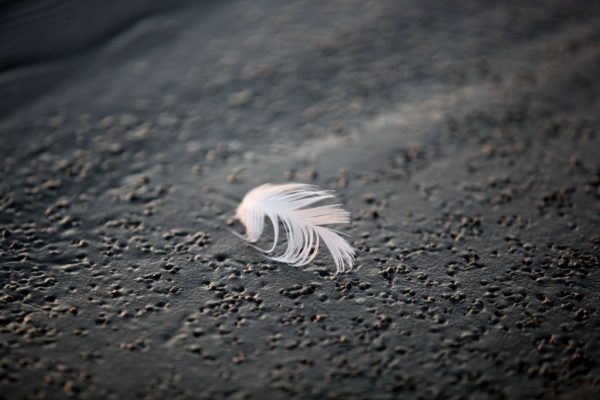 Abstrakte Fotografie: kurz bevor der Wind sie Richtung Föhr trug