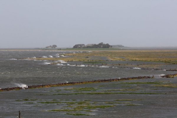 Der Nachmittagsspaziergang fällt ins Wasser