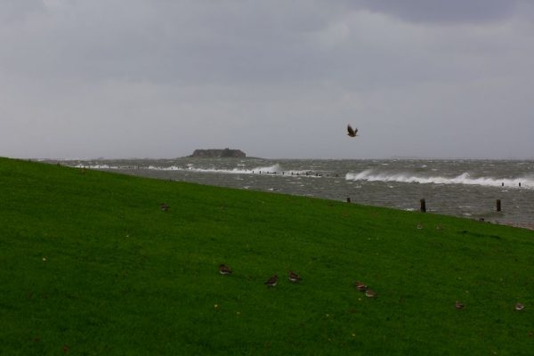 da war doch vorhin noch Wiese...