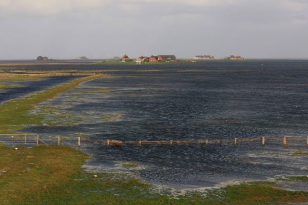 Überschwemmtes Halligland