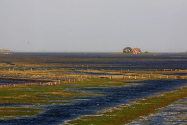 Kirchwarft, links Hunnenswarft