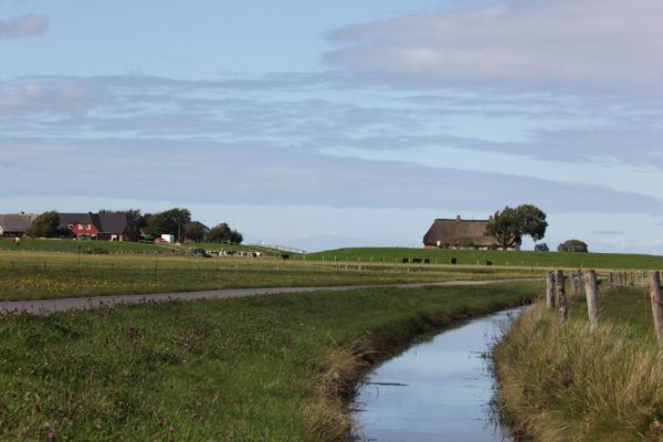 Hallig Impressionen Langeneß