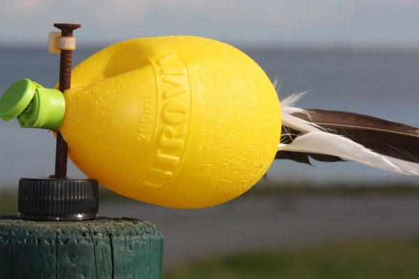 Objekt-Fotografie: Windrichtungsanzeiger Hallig Langeneß