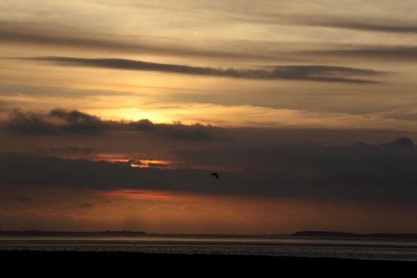 Licht und Farben: Hallig Langeneß