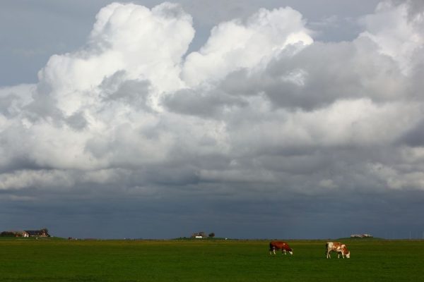 Hunnenswarft, Peterhaitzwarft und Bandixwarft