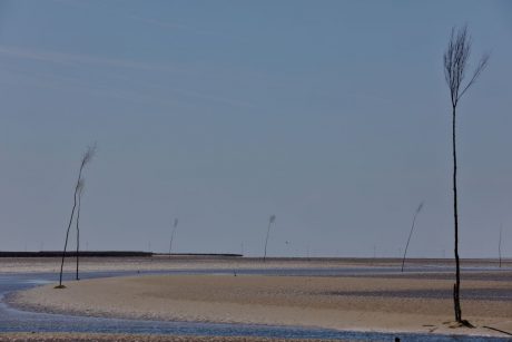 Hallig Langeness 2018