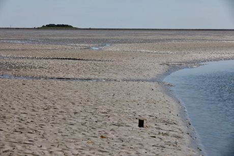 Hallig Langeness 2018