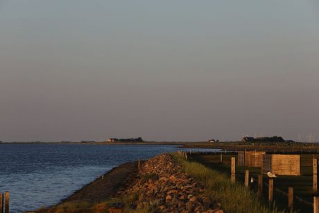 Hallig Langeness 2018