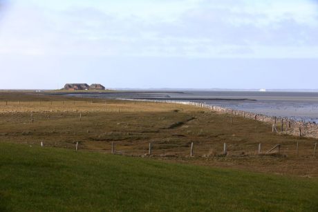 Fähre nach Amrum im Hintergrund