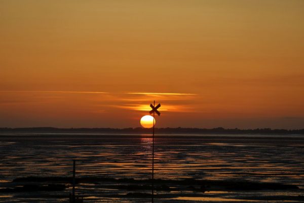 Die stillen Tage vor Mittsommer
