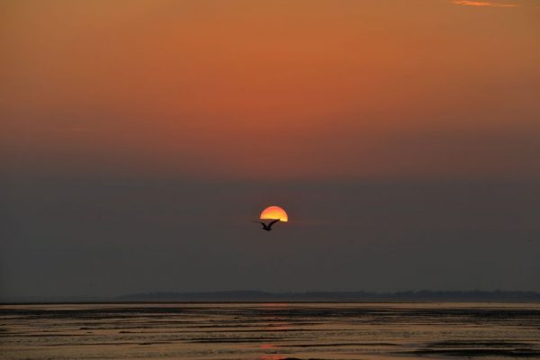 stille Tage vor Mittsommer auf Hallig Langeness