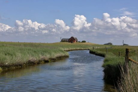 die stillen Tage vor Mittsommer