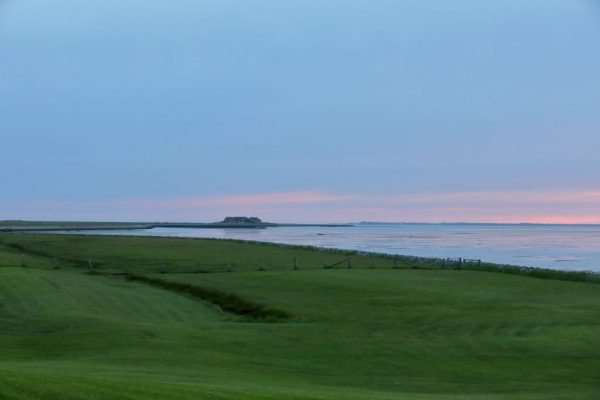 Fenne vor Norderhörn, hinten Mayenswarft