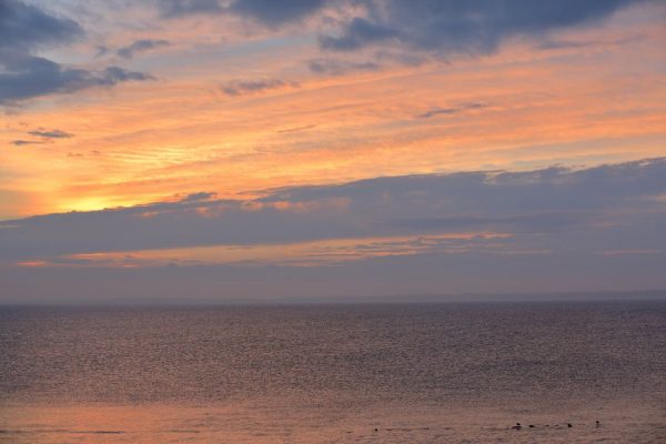 die stillen Tage vor Mittsommer