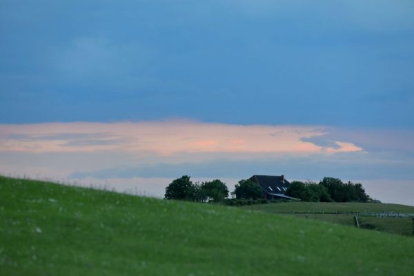 die stillen Tage vor Mittsommer