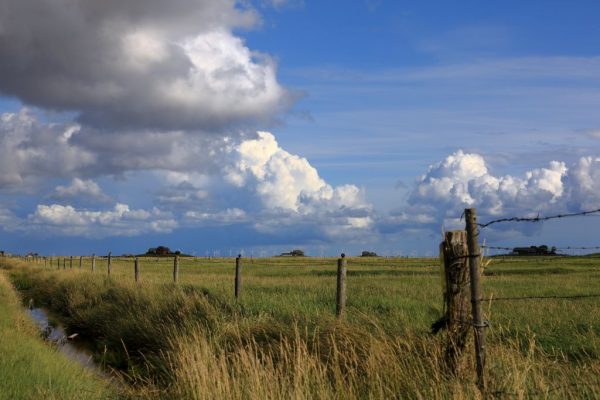 Herbstbeginn auf Langeness