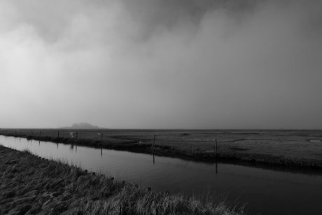 Nebel in Schwarz-Weiß