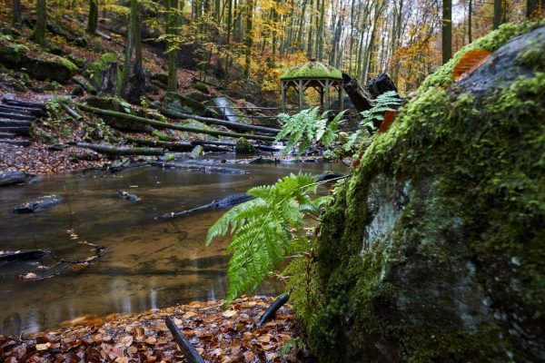 Spätherbst im Karlstal bei Trippstadt