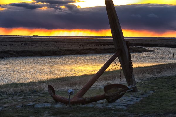 Einfach nur weg auf die Hallig Langeneß