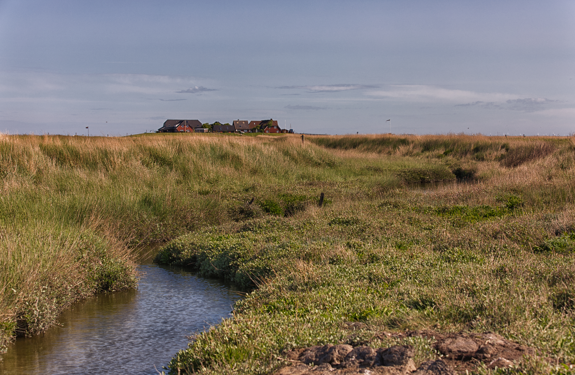 Geliebte Hallig - allein ohne Hallighund Emmely