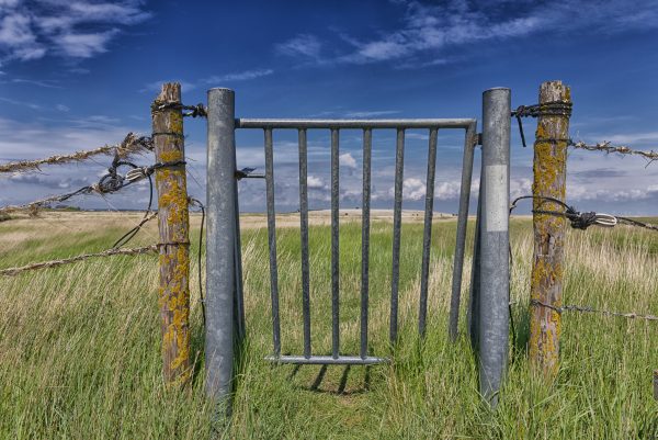 Geliebte Hallig - allein ohne Hallighund Emmely