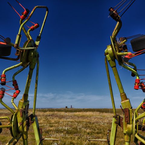 Letzte Sommertage auf Langeneß