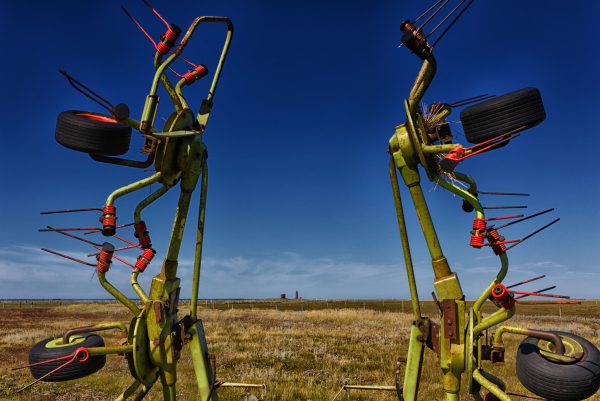 Letzte Sommertage auf Langeneß