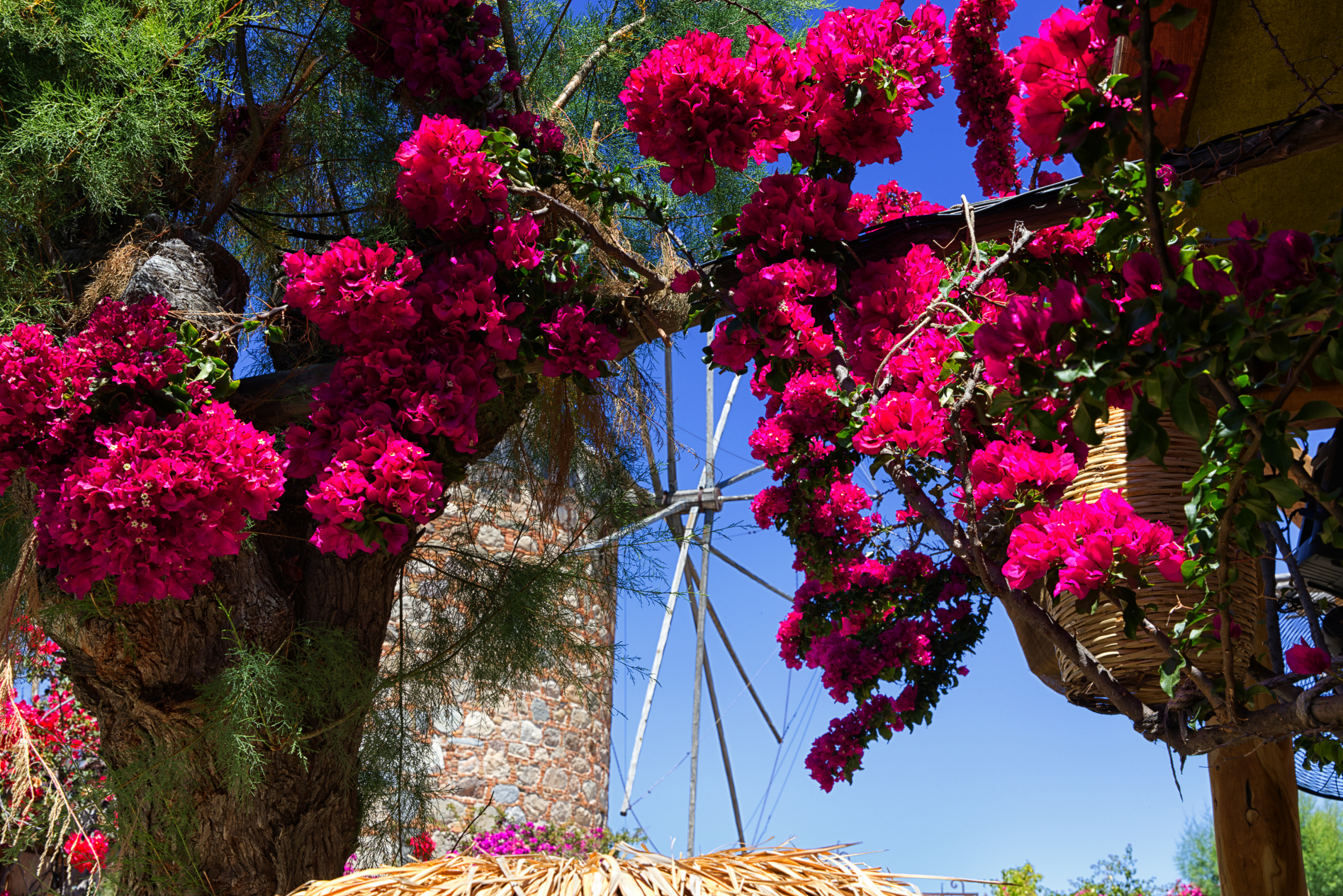 Insel Kos