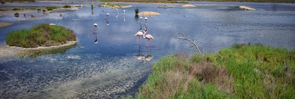 Parc natural de s’Albufera de Mallorca