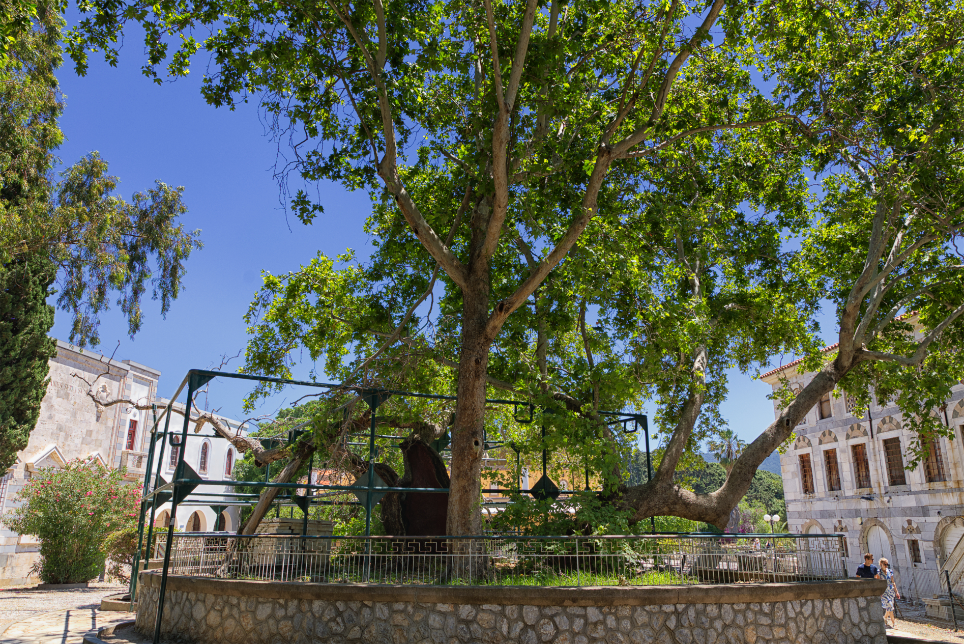 Turbulente Tage auf Kos