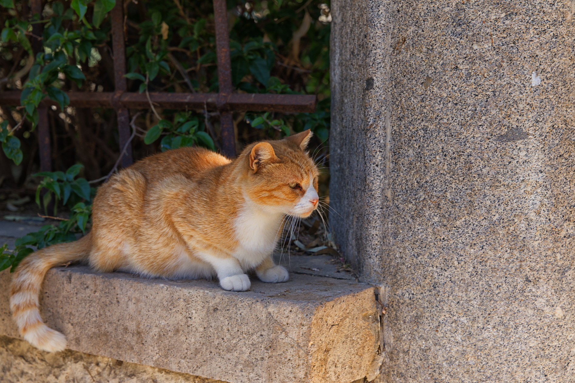 Turbulente Tage auf Kos