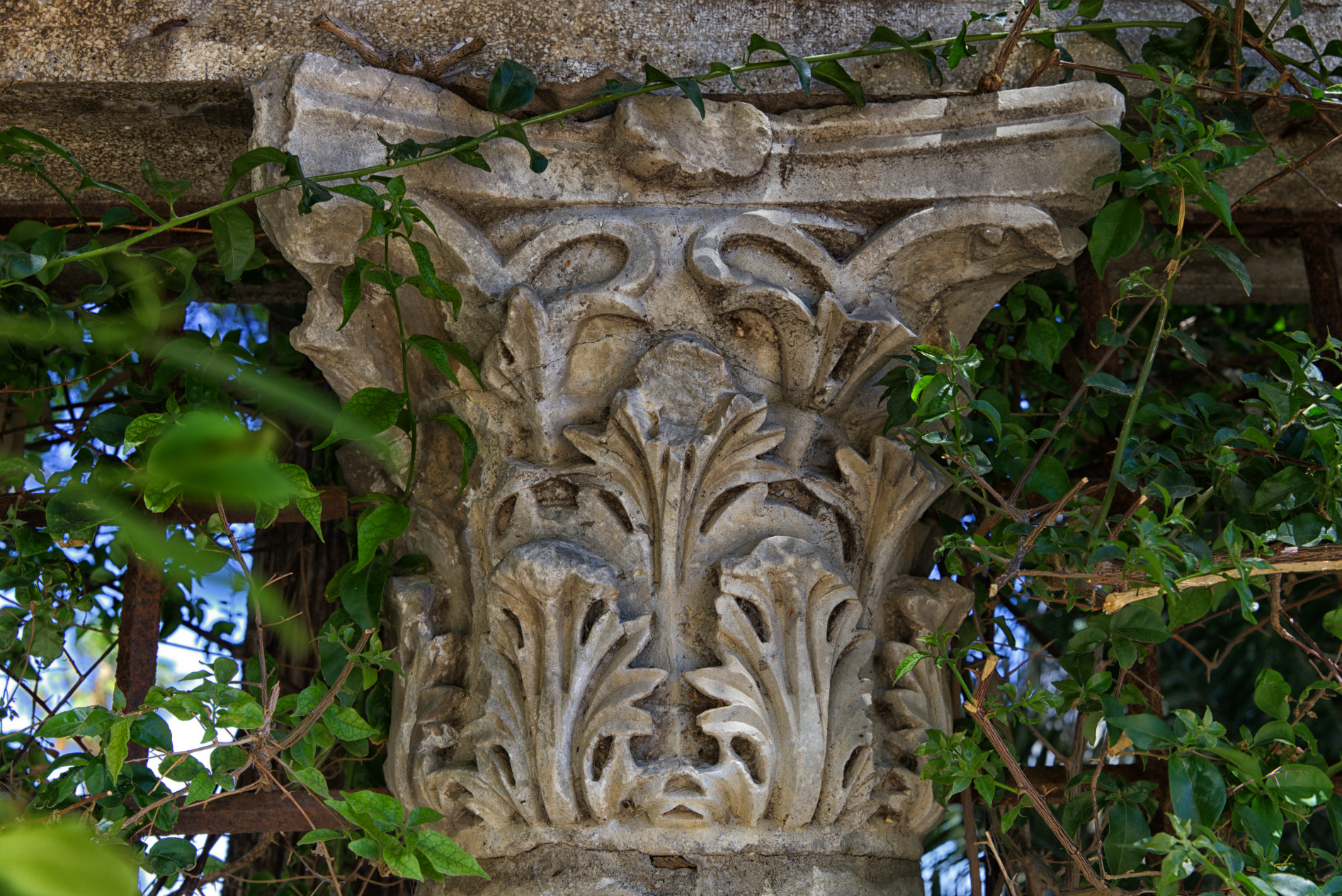 Turbulente Tage auf Kos