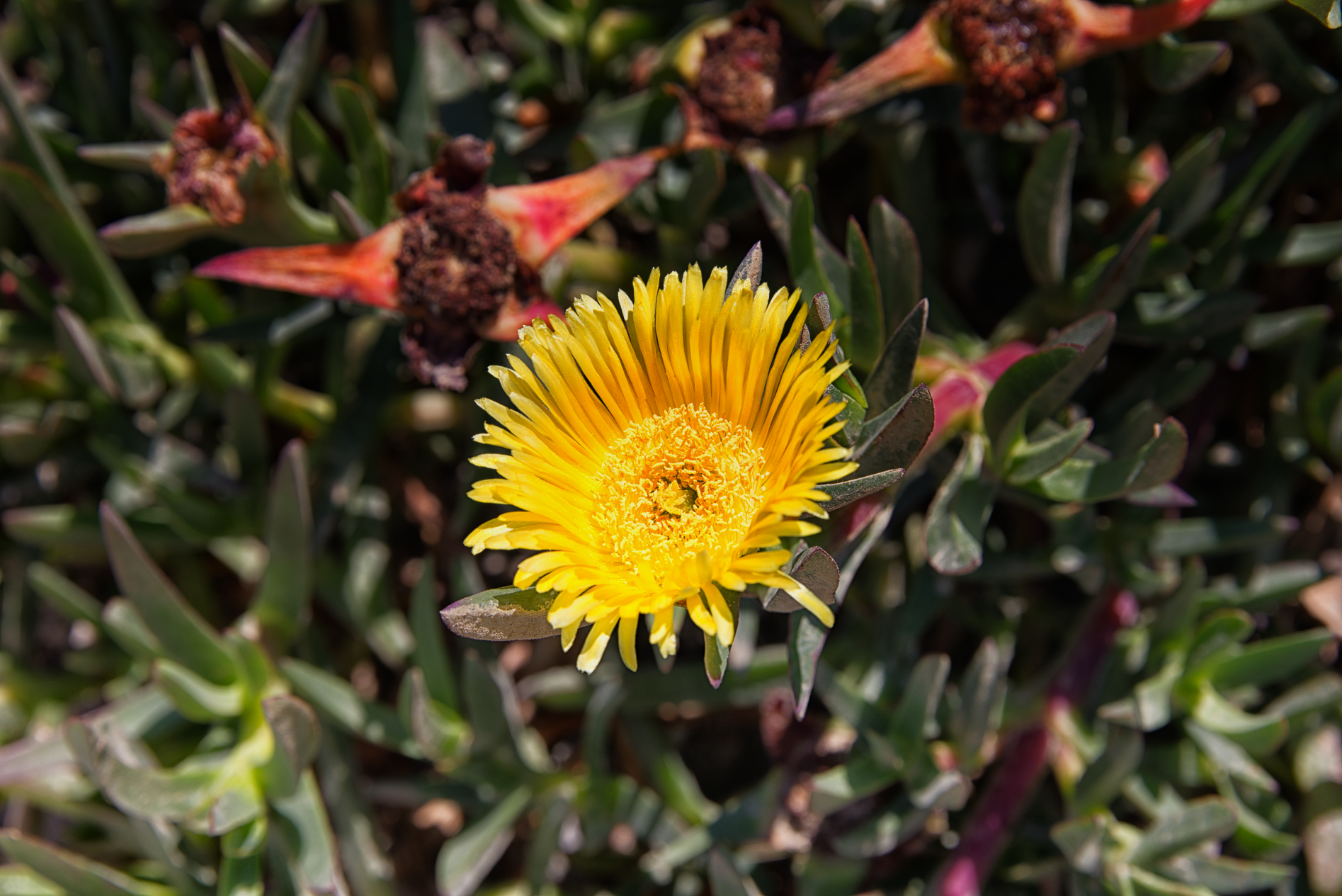 Turbulente Tage auf Kos