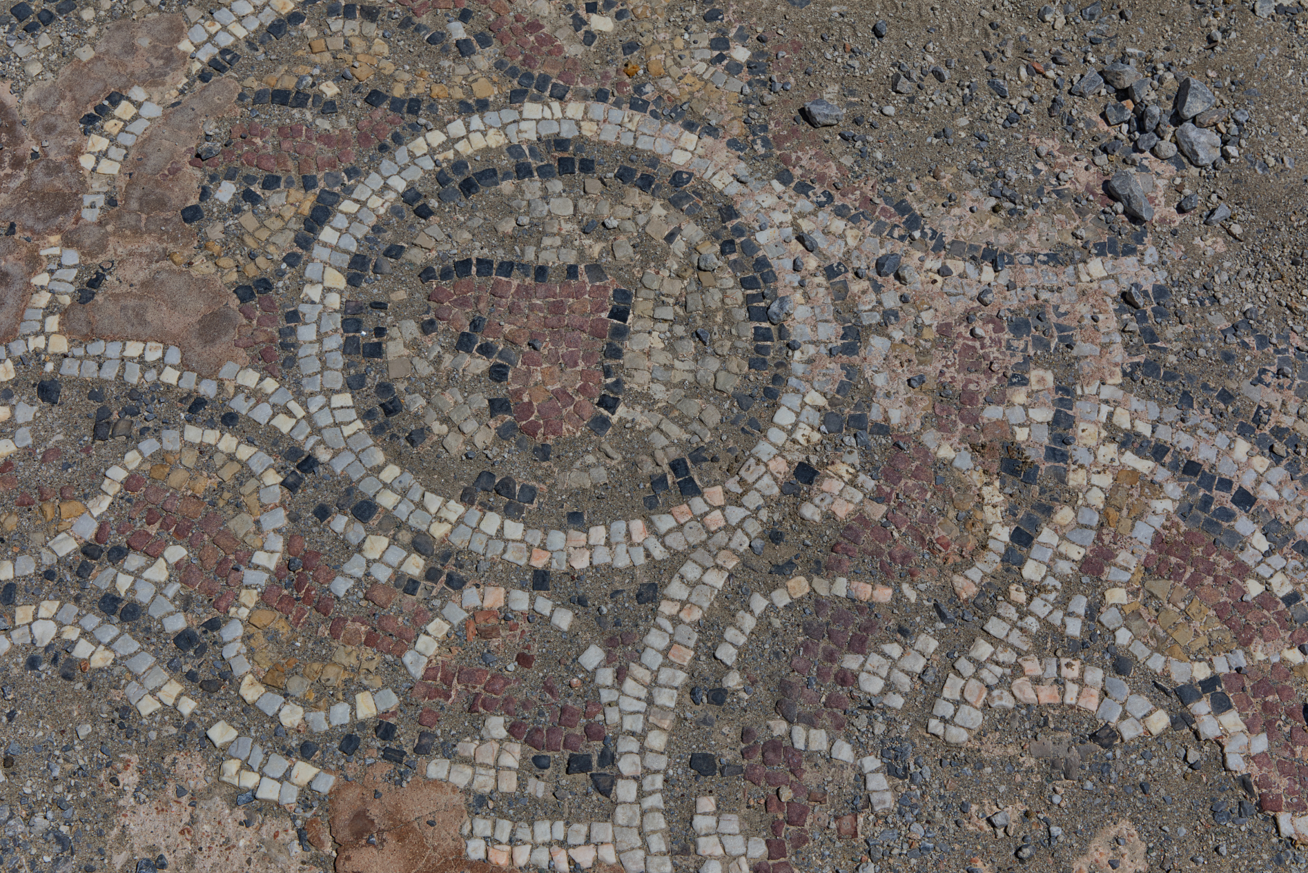 Turbulente Tage auf Kos