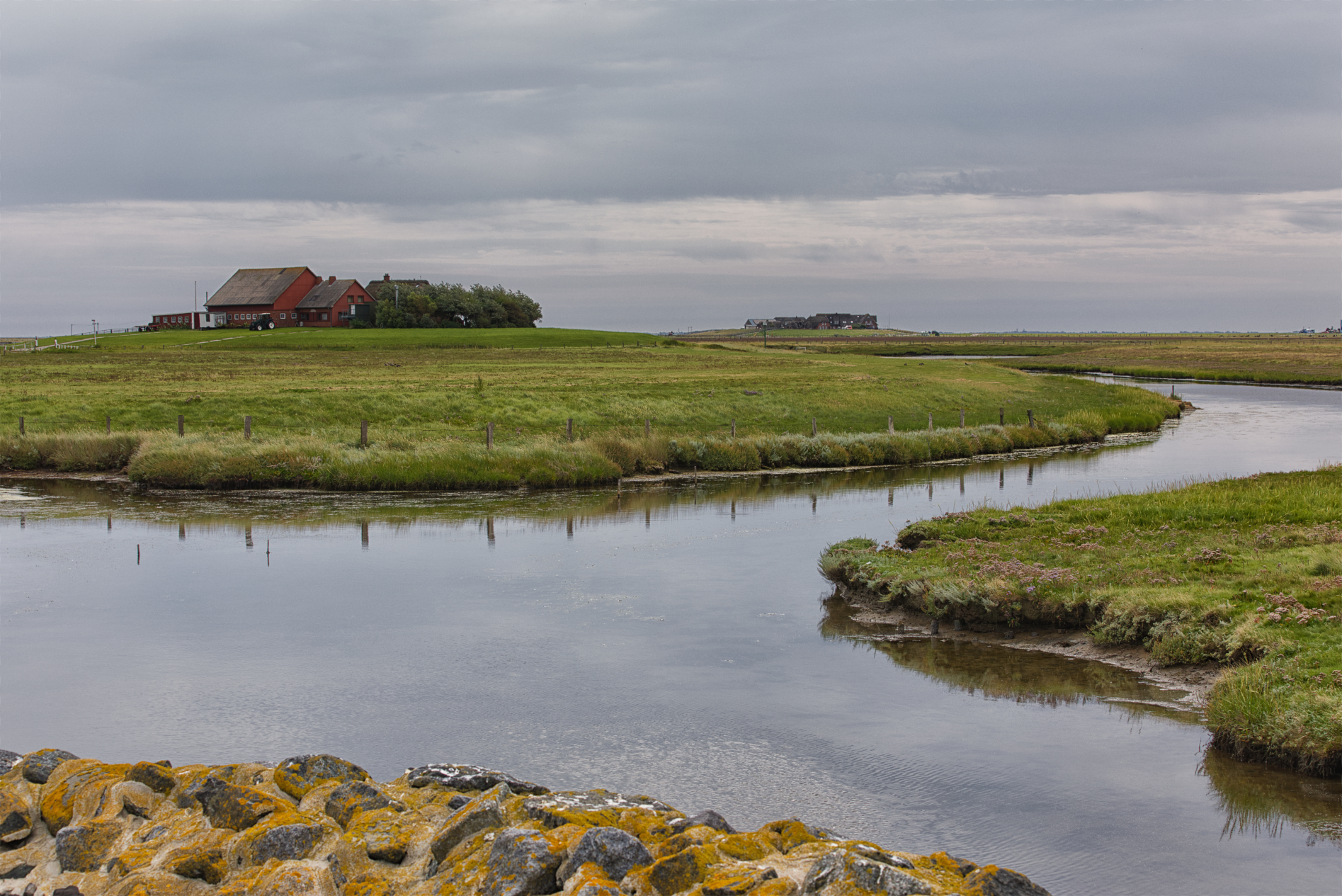 Hallig Langeneß hat uns wieder