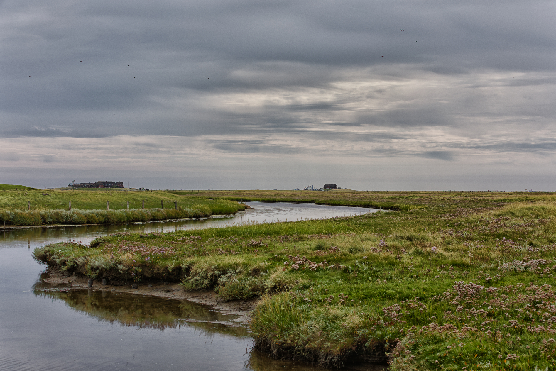 Hallig Langeneß hat uns wieder