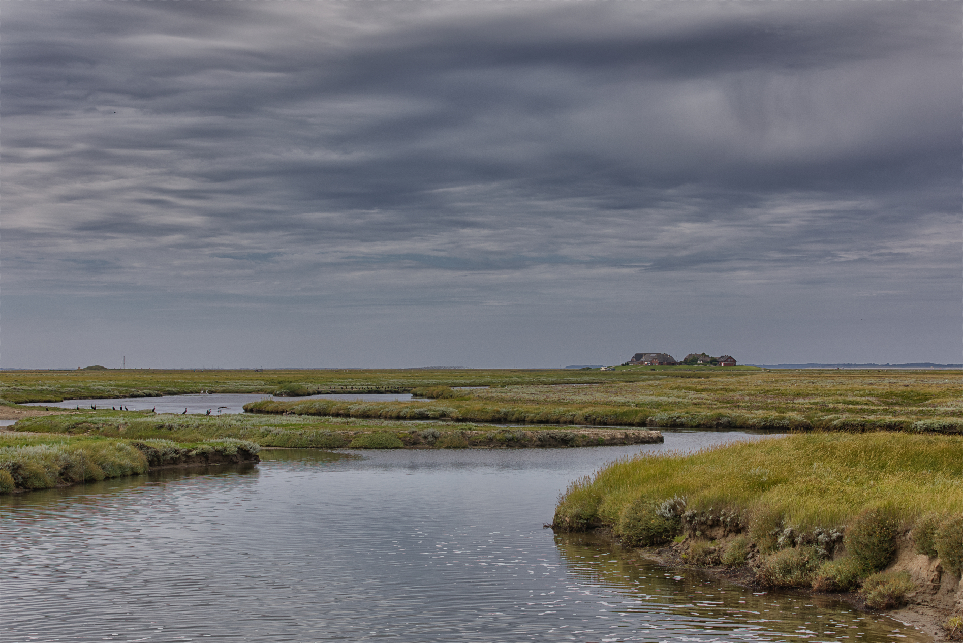Blick zur Mayenswarf