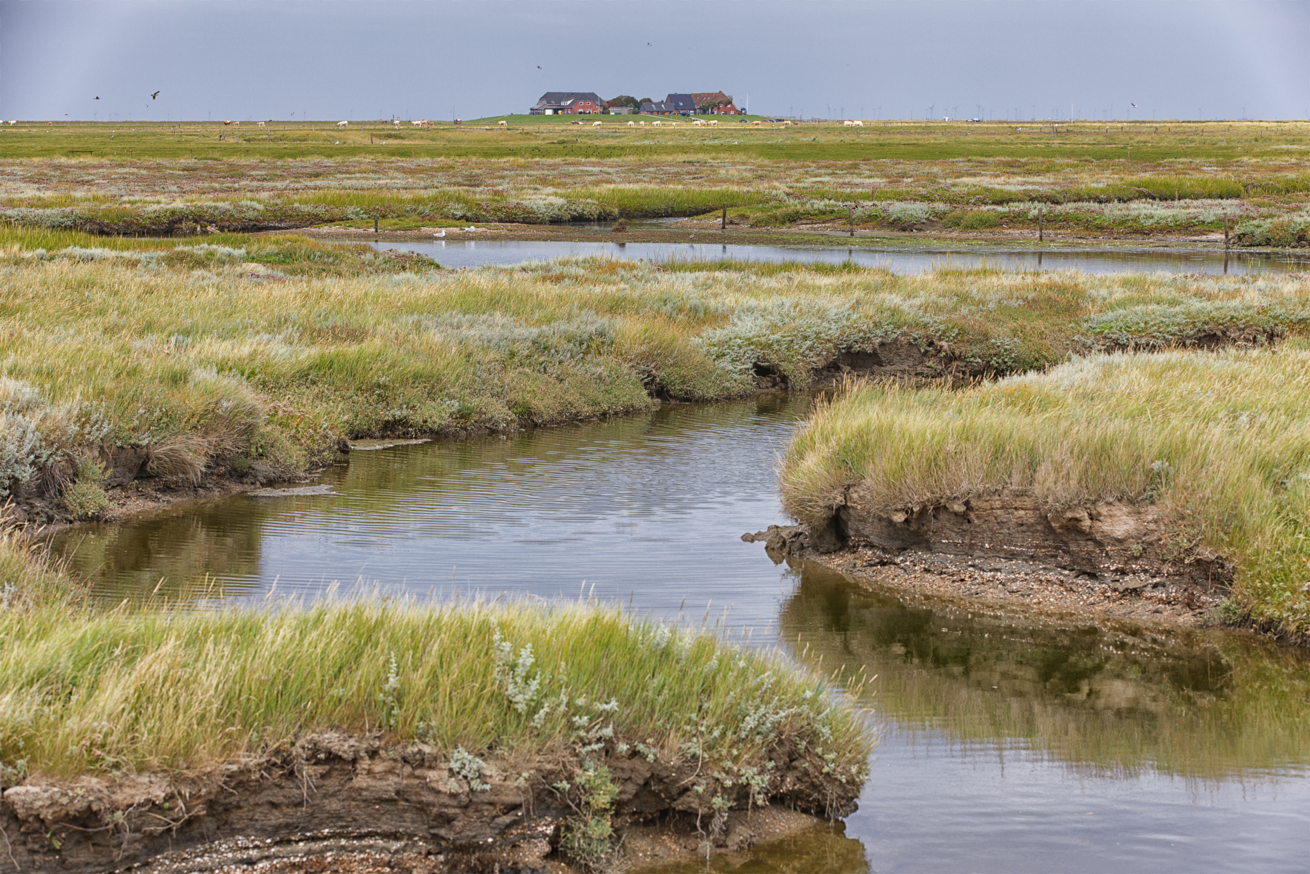 Blick auf Norderhörn