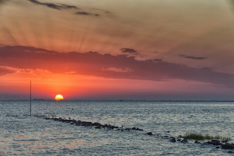 Hallig Langeneß hat uns wieder