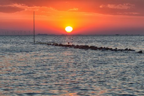 Ein neuer Tag erwacht