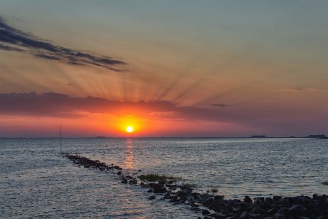 Hallig Langeneß hat uns wieder