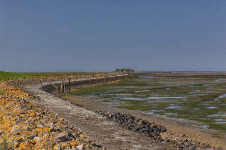 Hallig Langeneß hat uns wieder