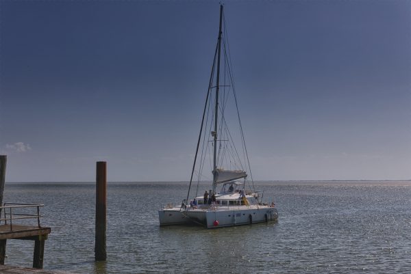 Currywurst-Essen mit Sekt bei Ela's Futterluke