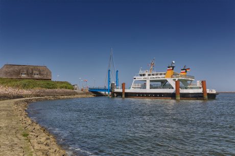 Hallig Langeneß hat uns wieder