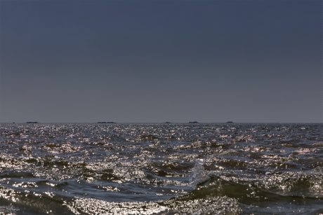 Hallig Langeneß hat uns wieder