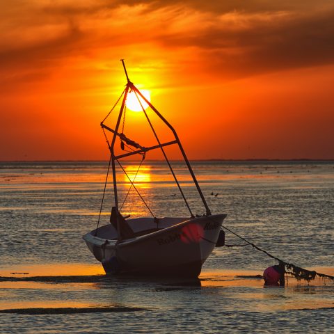 Hallig Langeneß hat uns wieder