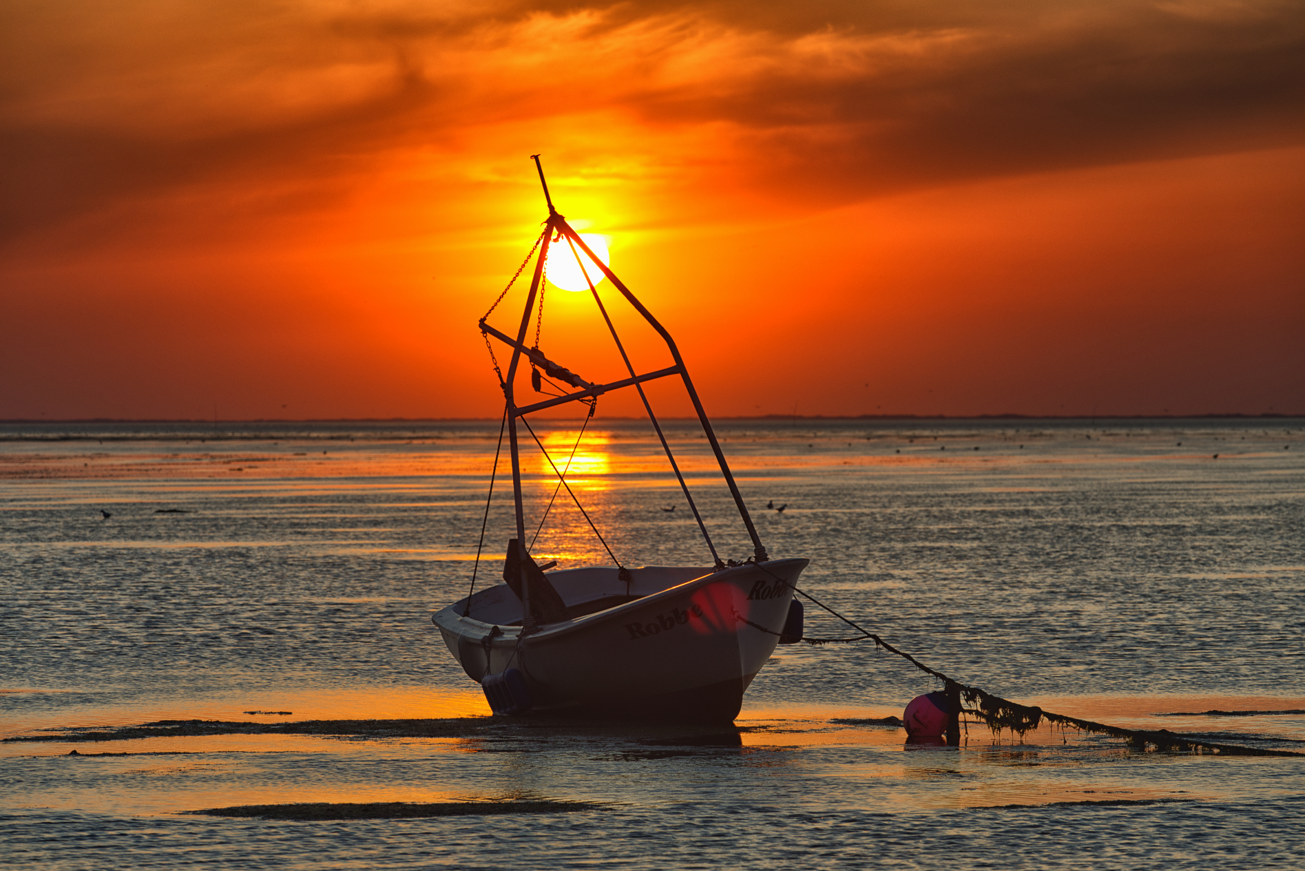 Hallig Langeneß hat uns wieder