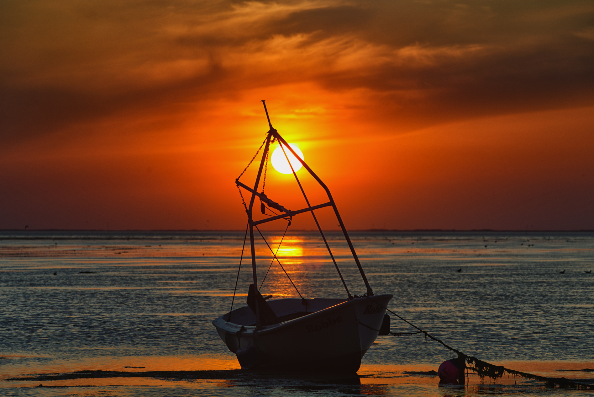 Hallig Langeneß hat uns wieder