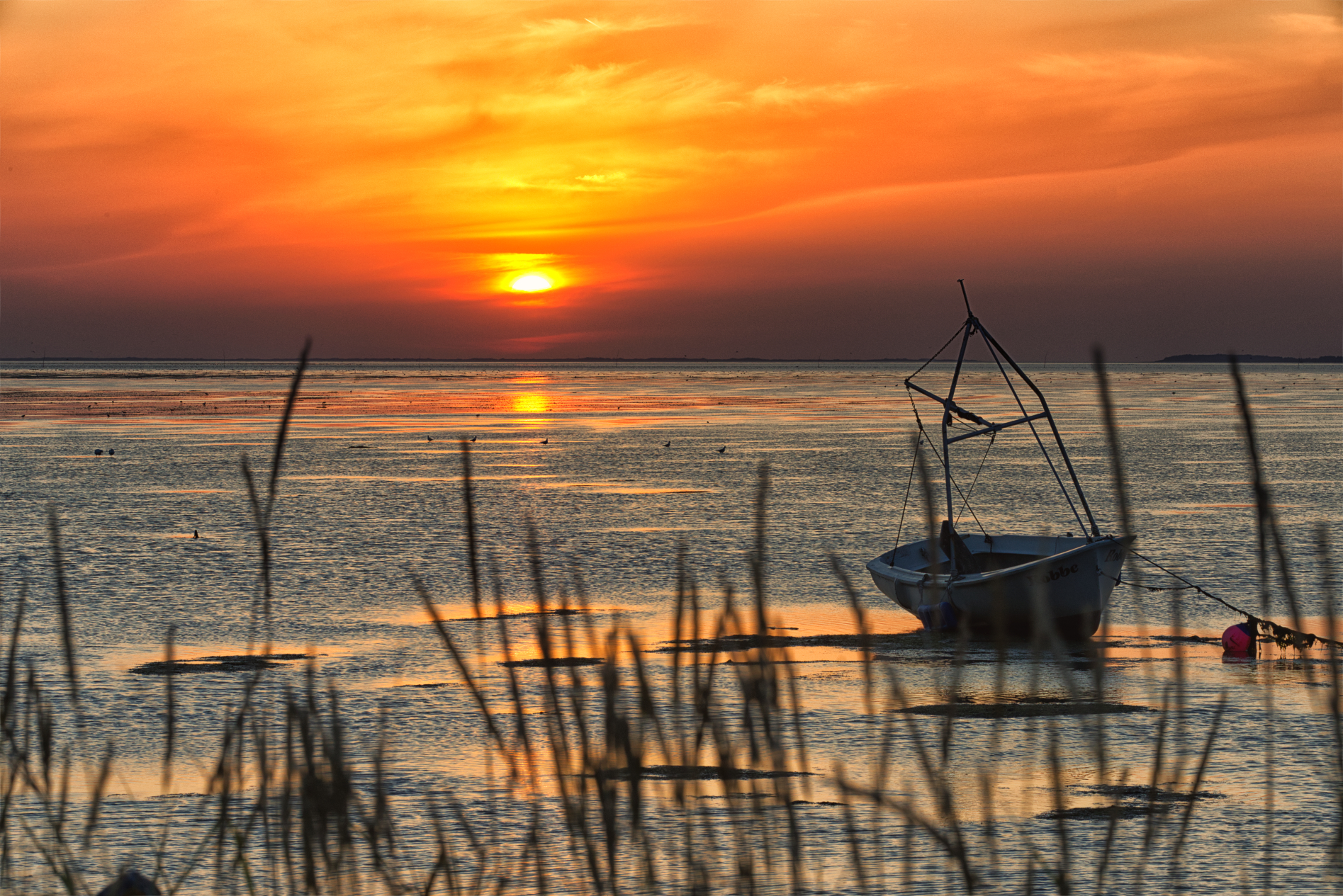 Hallig Langeneß hat uns wieder