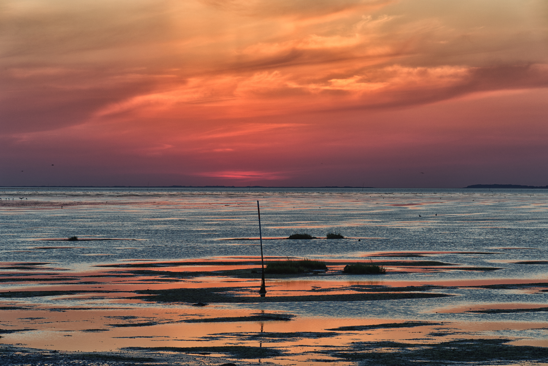Hallig Langeneß hat uns wieder